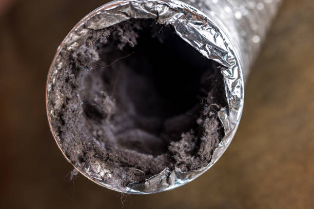 Best Emergency Air Duct Cleaning  in Manton, MI