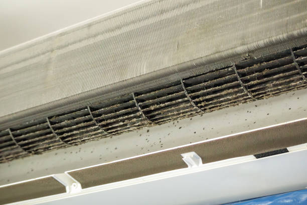 Best General Air Duct Cleaning  in Manton, MI